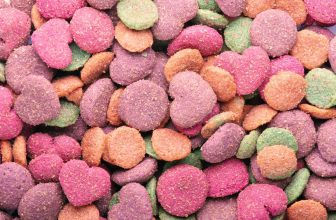 croquettes vues de près