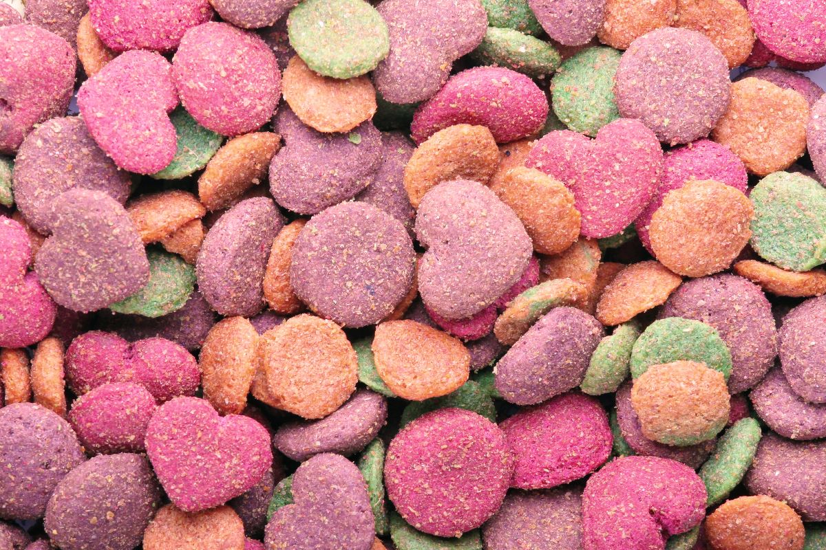 croquettes vues de près