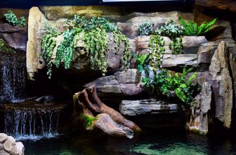 un bel aquaterrarium