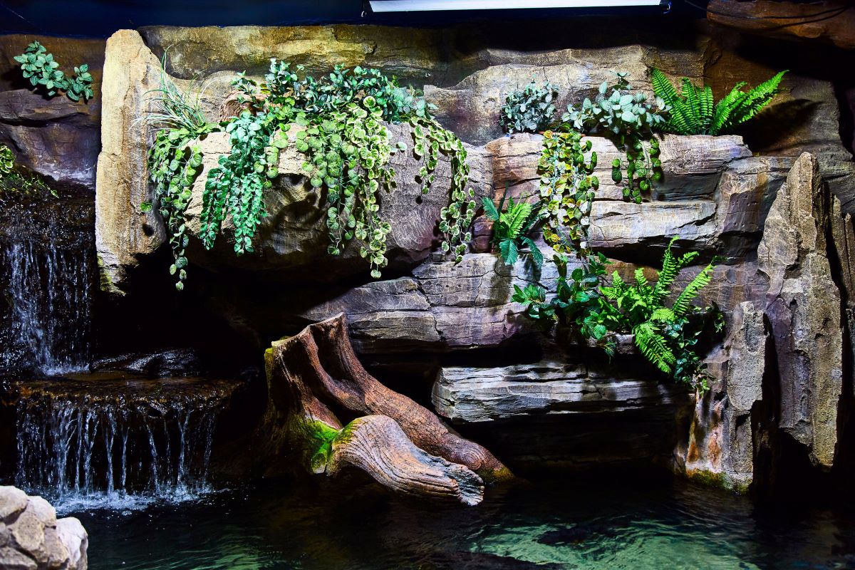 un bel aquaterrarium