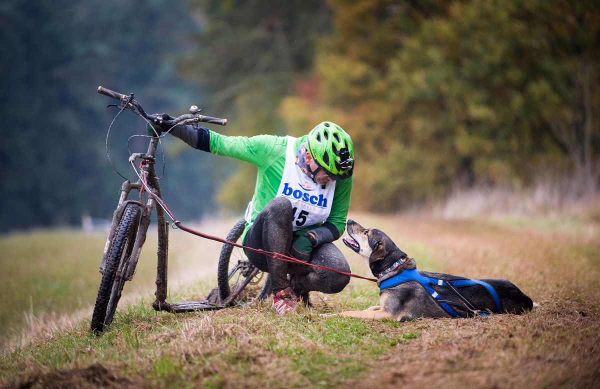 un chien couché près de son maitre