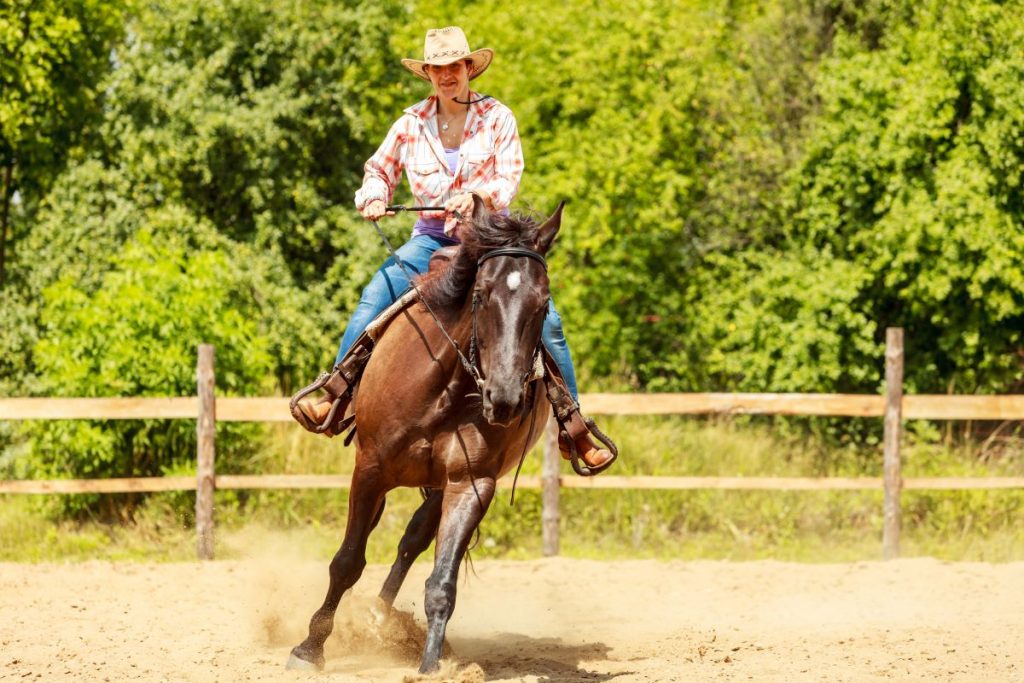 un homme sur son cheval un homme sur son cheval
