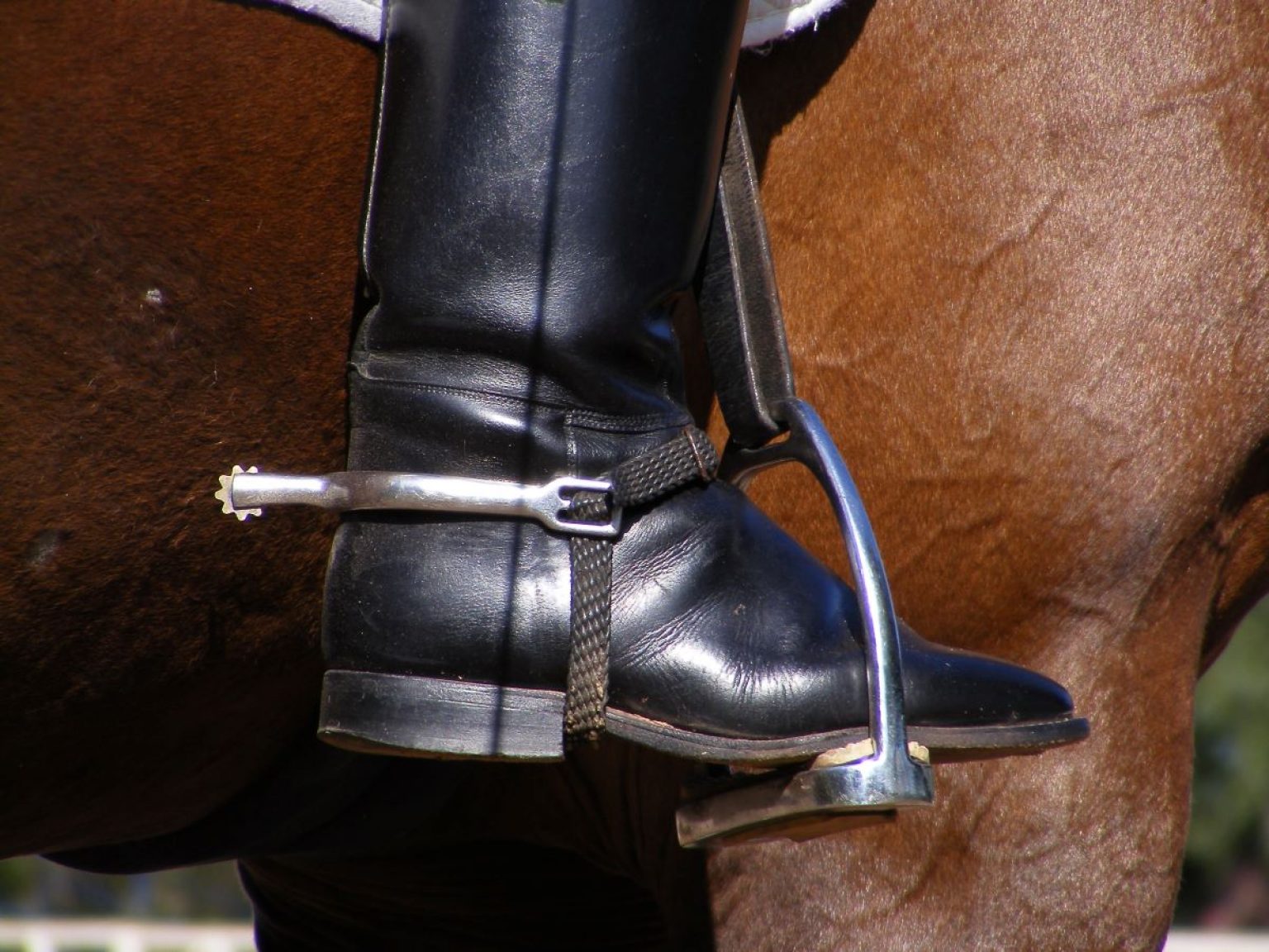 Guêtres De Saut D'obstacles CWD – Cuir Marron, Taille 3, Ouvertes Devant