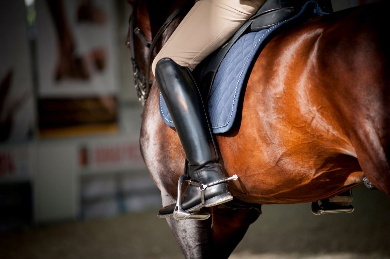 Selles de dressage de grande qualité