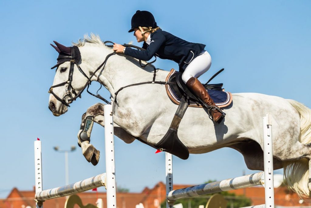 un cavalier sur son cheval un cavalier sur son cheval