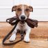 Soins Dentaires pour les Chiens : Test et Avis
