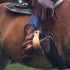 Bottes d’Equitation : Test et Avis