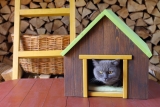 Maison pour Chats : Test et Avis
