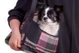 Sac pour Chien : Test et Avis