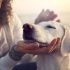 Piscine pour Chiens : Test et Avis